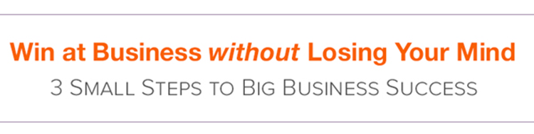 Win at Business Without Losing Your Mind: 3 Small Steps to Big Business Success